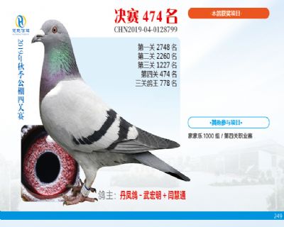 威力慧能决赛474名