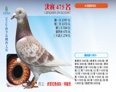 威力慧能决赛475名