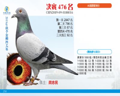 威力慧能决赛476名