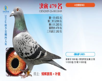 威力慧能决赛479名