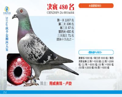 威力慧能决赛480名