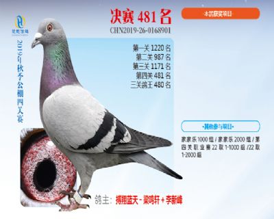 威力慧能决赛481名
