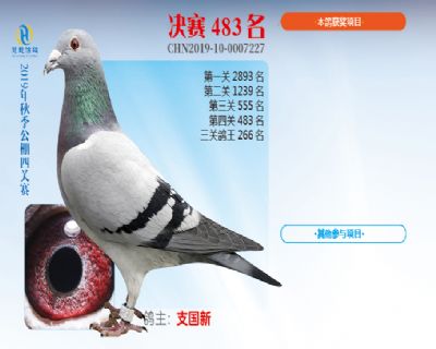威力慧能决赛483名