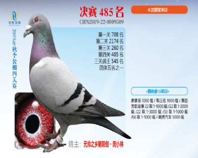 威力慧能决赛485名