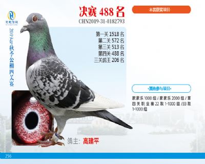 威力慧能决赛488名