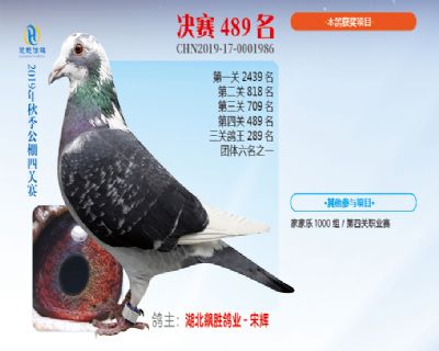 威力慧能决赛489名
