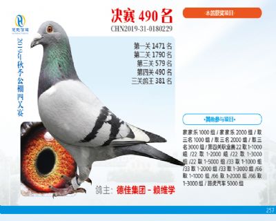 威力慧能决赛490名