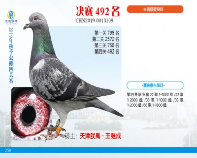 威力慧能决赛492名