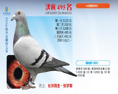 威力慧能决赛495名