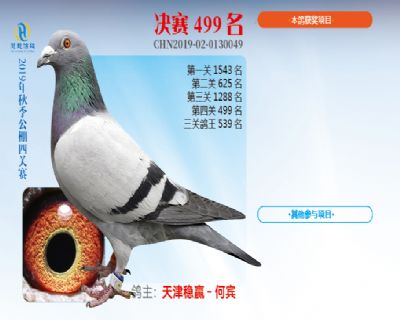 威力慧能决赛499名