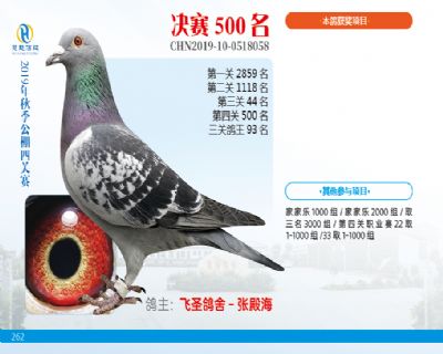 威力慧能决赛500名