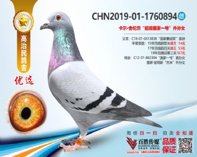 “超级国家一号”孙女 1760894