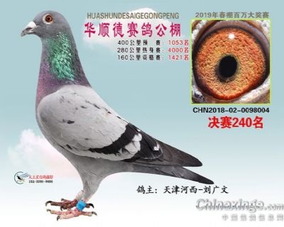 华顺德240