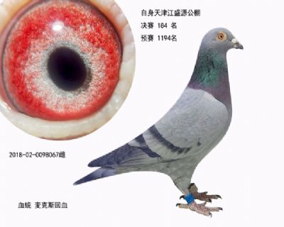 江盛源184