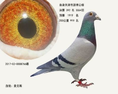 源博392名