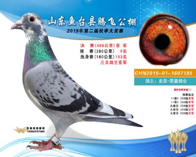 2019鱼台腾飞2