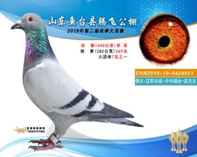 2019鱼台腾飞3