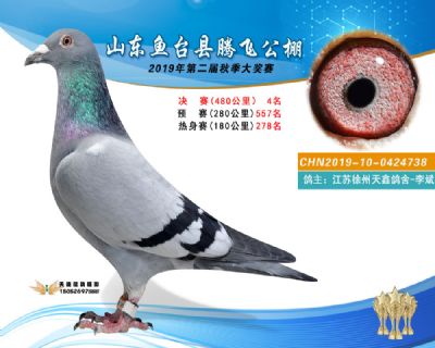 2019鱼台腾飞4