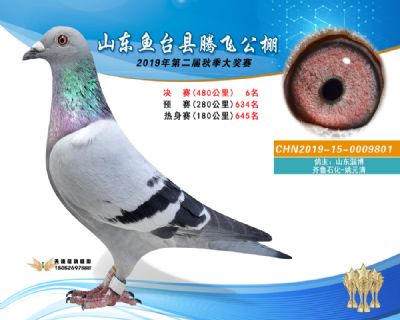 2019鱼台腾飞6