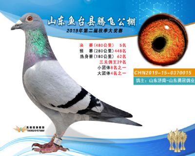 2019鱼台腾飞5