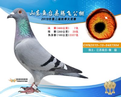 2019鱼台腾飞7
