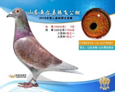 2019鱼台腾飞9