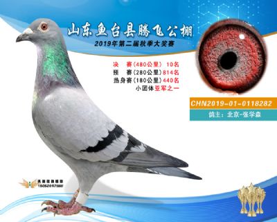 2019鱼台腾飞10