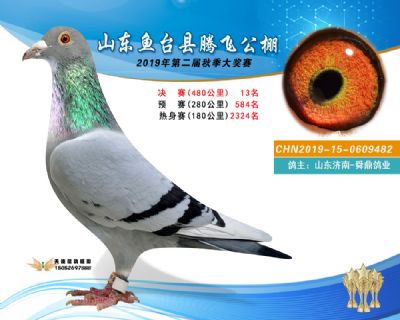 2019鱼台腾飞13