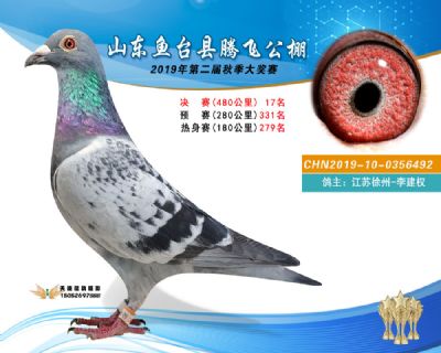 2019鱼台腾飞17
