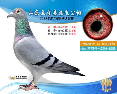 2019鱼台腾飞18