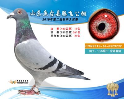 2019鱼台腾飞19