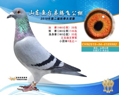 2019鱼台腾飞20