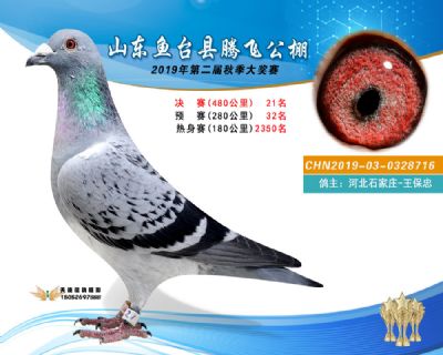 2019鱼台腾飞21