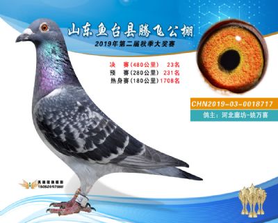 2019鱼台腾飞23