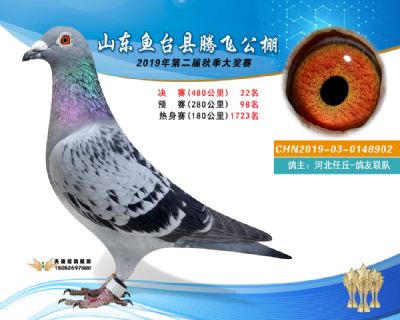 2019鱼台腾飞22