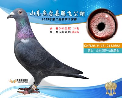 2019鱼台腾飞24