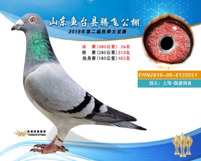 2019鱼台腾飞26