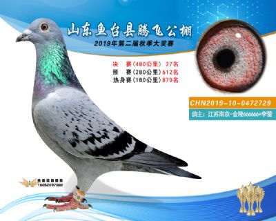 2019鱼台腾飞27