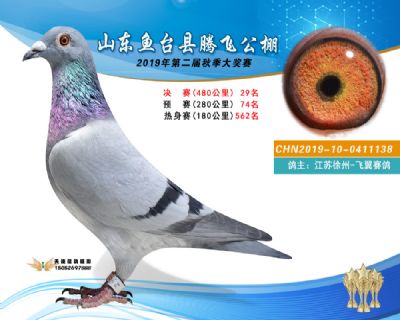 2019鱼台腾飞29