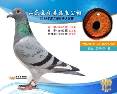 2019鱼台腾飞31