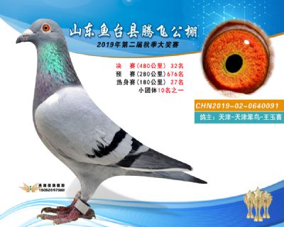 2019鱼台腾飞32