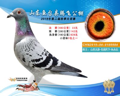 2019鱼台腾飞33