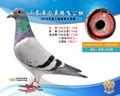 2019鱼台腾飞36