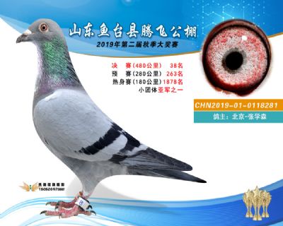 2019鱼台腾飞38
