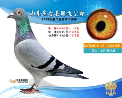 2019鱼台腾飞37