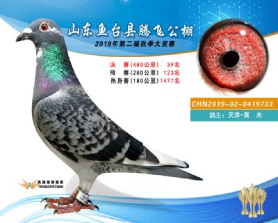 2019鱼台腾飞39