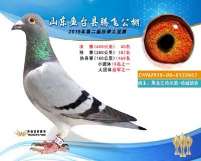 2019鱼台腾飞40