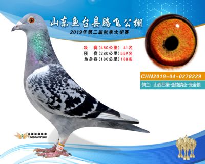 2019鱼台腾飞41
