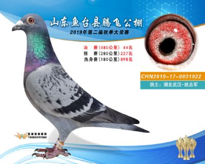 2019鱼台腾飞44