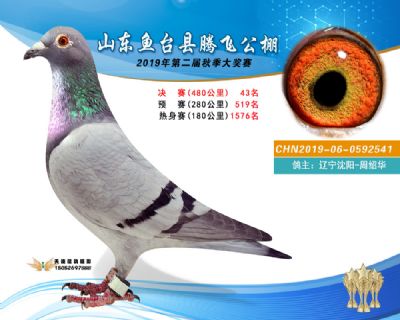 2019鱼台腾飞43